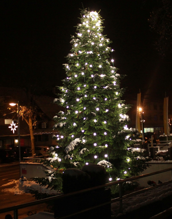 Adventmarkt Roter Platz 2012 _23__jpg-1354441305