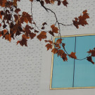 DSCN8875_JPG-1354445416