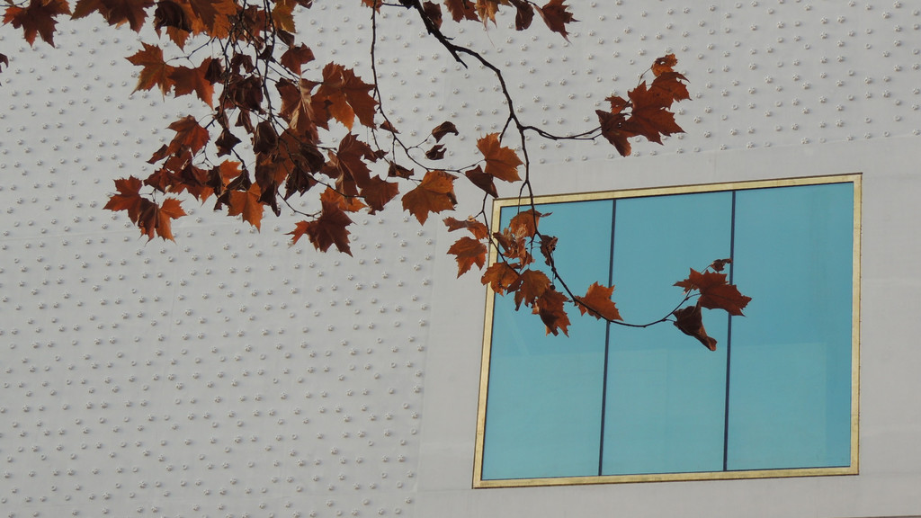 DSCN8875_JPG-1354445416