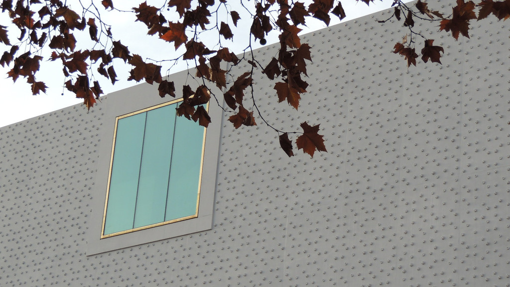 DSCN8876_JPG-1354445421