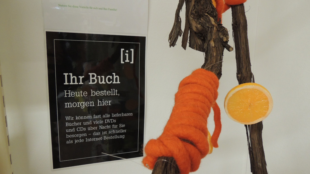 DSCN9871_JPG-1354446737