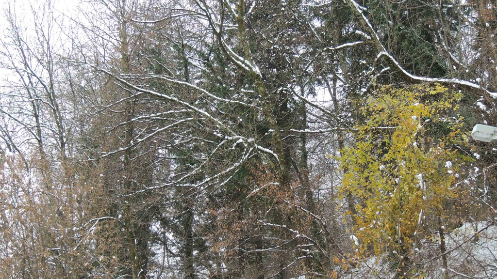 DSCN0237_JPG-1354447113