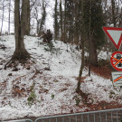 DSCN0240_JPG-1354447120