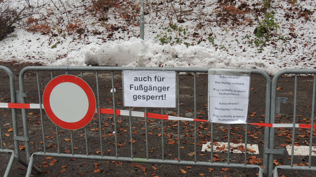 DSCN0241_JPG-1354447124