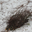 DSCN0243_JPG-1354447128