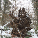 DSCN0244_JPG-1354447132