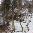 DSCN0247_JPG-1354447140