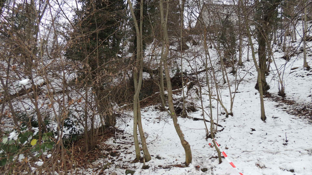 DSCN0247_JPG-1354447140