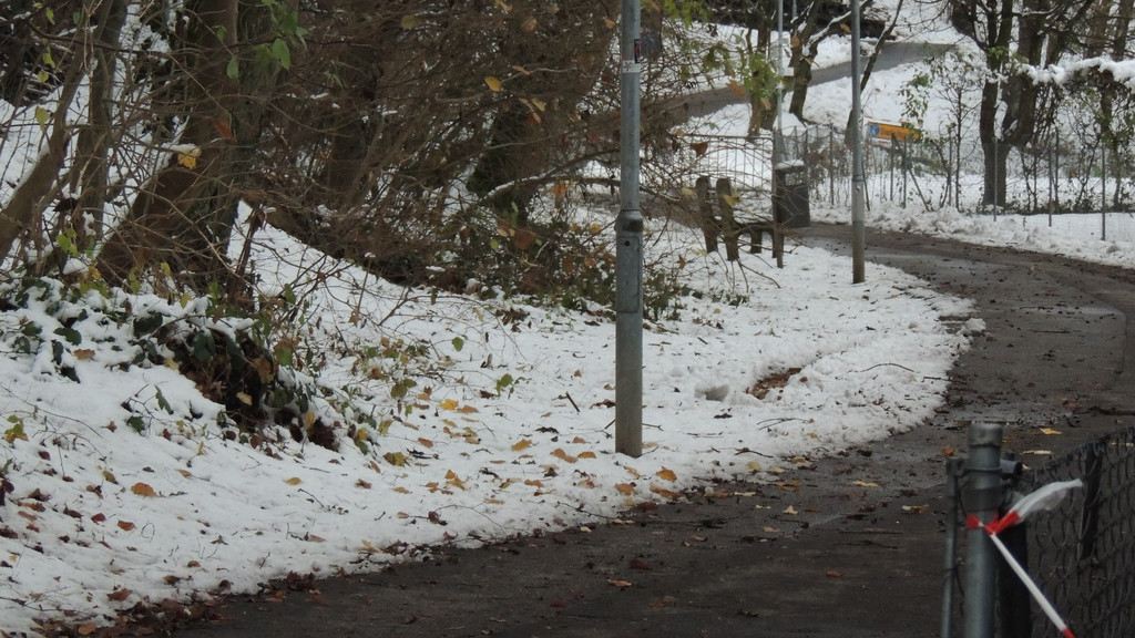 DSCN0245_JPG-1354447148