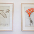 DSCN0086_JPG-1354448791