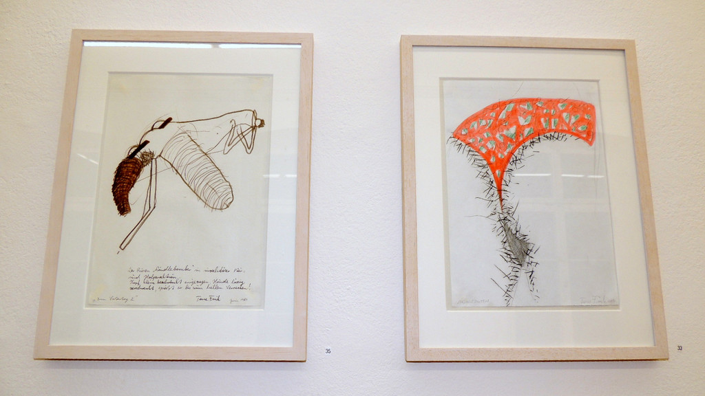 DSCN0086_JPG-1354448791