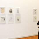 DSCN0076_JPG-1354448760