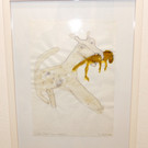 DSCN0087_JPG-1354448794