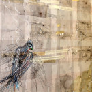 DSCN0082_JPG-1354448782