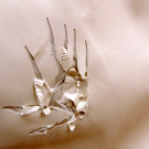 DSCN0150_JPG-1354448921