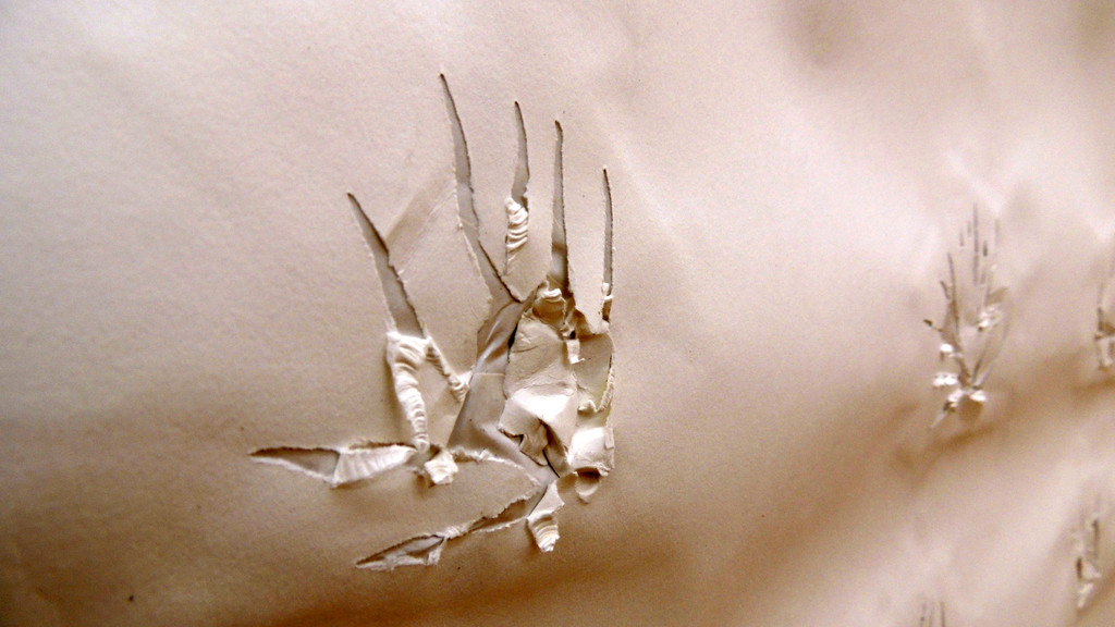 DSCN0150_JPG-1354448921