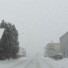 IMG_8865 _Large__jpg-1354452310
