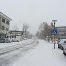 IMG_8838 _Large__jpg-1354452323