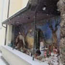 IMG_8840 _Large__jpg-1354452327