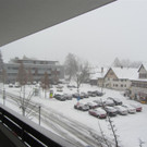 IMG_8845 _Large__jpg-1354452331