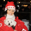 Adventmarkt H__chst 01-12-2012 61_jpg-1354452087