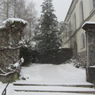 IMG_8806 _Large__jpg-1354454734