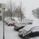 IMG_8807 _Large__jpg-1354454737