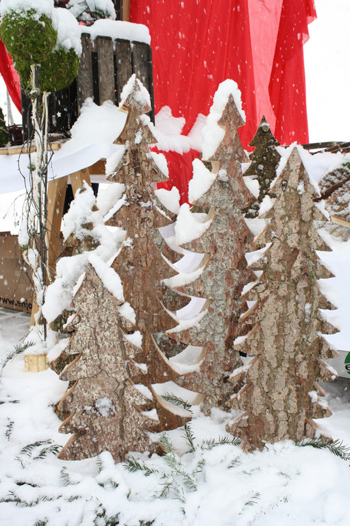 IMG_1490_jpg-1354460490