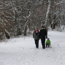 Weitere Bilder