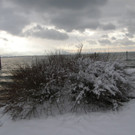 PC020008_JPG-1354461355