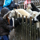 normal_02122012fmt_tiergarten_ta_007.JPG