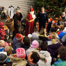 DSC00278_JPG-1354463479