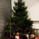 DSC00282_JPG-1354463505