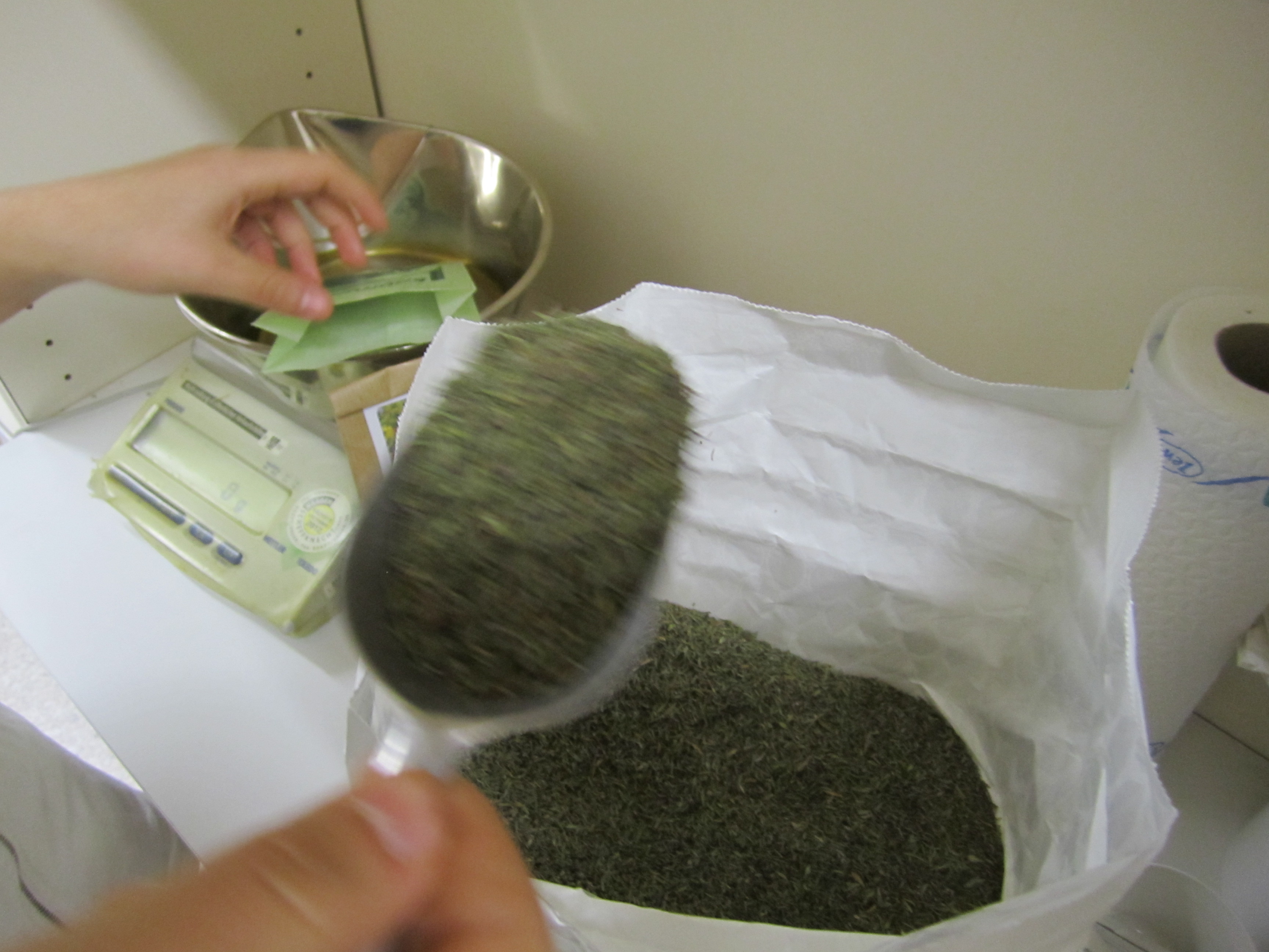 IMG_5130_JPG-1354471143