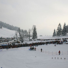 normal_130220101400uhrfaschinghochschwarzeckrlaktivnews__37_.jpg