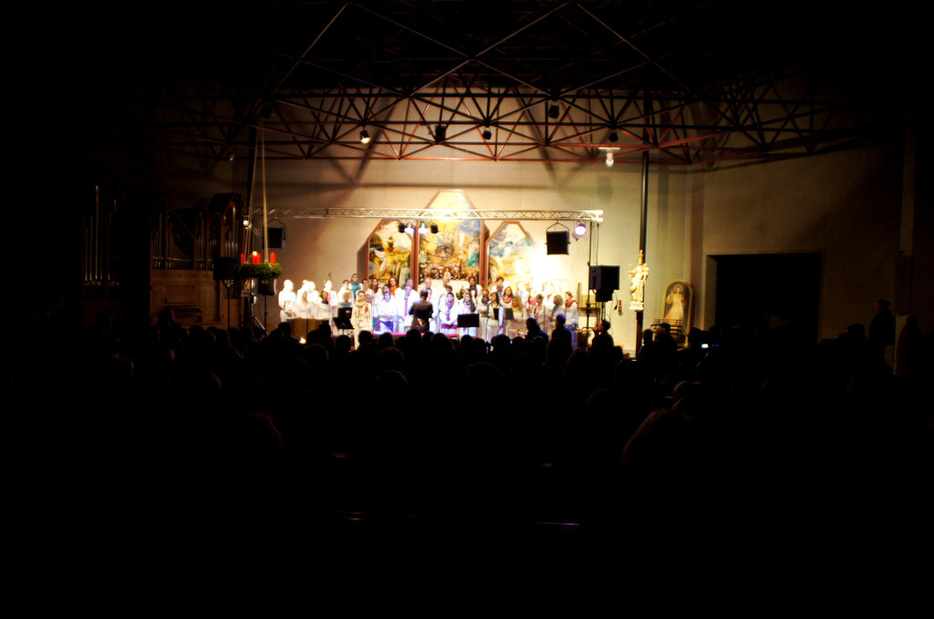 DSC00351_JPG-1354488723