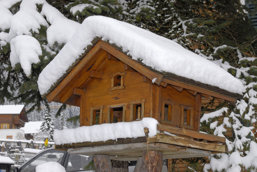 _c_ Gerhard Scopoli - Schnee Gaschurn - 050.jpg