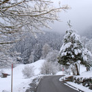 _c_ Gerhard Scopoli - Schnee Gaschurn - 083.jpg