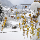 _c_ Gerhard Scopoli - Schnee Gaschurn - 096.jpg
