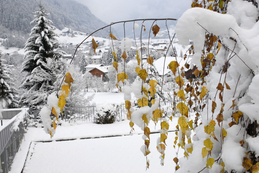_c_ Gerhard Scopoli - Schnee Gaschurn - 096.jpg