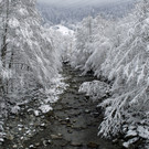 _c_ Gerhard Scopoli - Schnee Gaschurn - 124.jpg