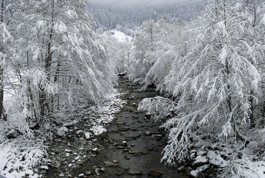 _c_ Gerhard Scopoli - Schnee Gaschurn - 124.jpg