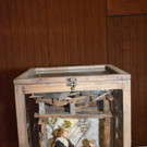 DSC_7878.jpg