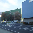 November 20 018.JPG