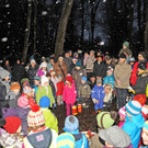 Advent im nächtlichen Rheinholz