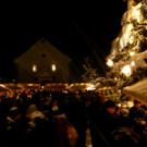P1000388_jpg-1354535474