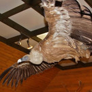 normal_02122012adventwildparkat_02_001aktivnews__14_.JPG