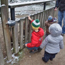 normal_02122012adventwildparkat_02_001aktivnews__21_.JPG