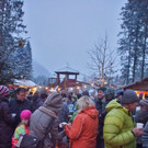 normal_02122012adventwildparkat_02_001aktivnews__47_.JPG