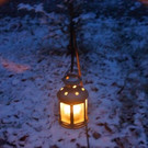 normal_02122012adventwildparkat_02_001aktivnews__52_.JPG